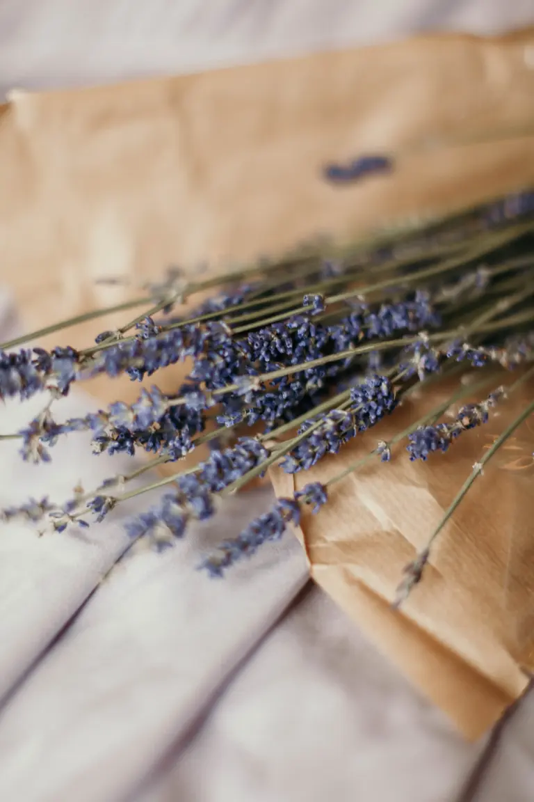 Lavendel